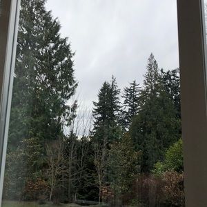 Meet your Posher, Cindi